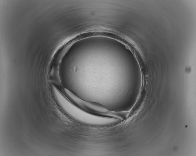 X0000097500973200802221441