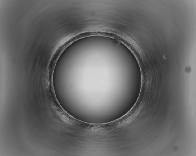 X0000097500974200802221441