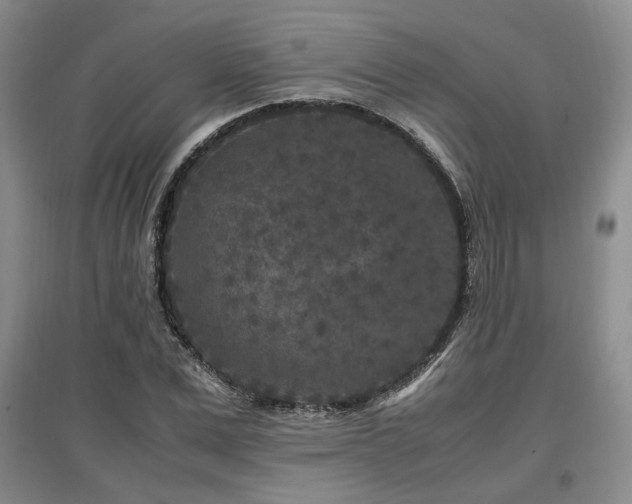 X0000097500975200802221441