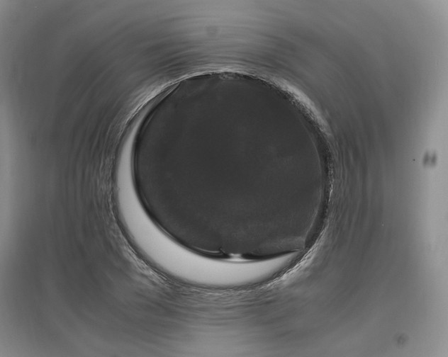 X0000097500977200802221441