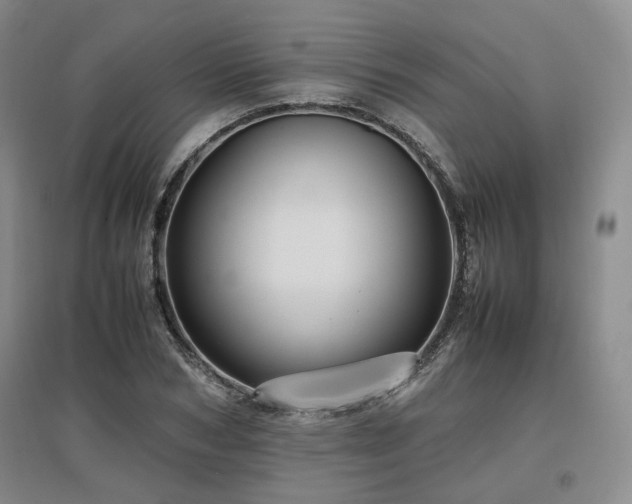 X0000097500978200802221441