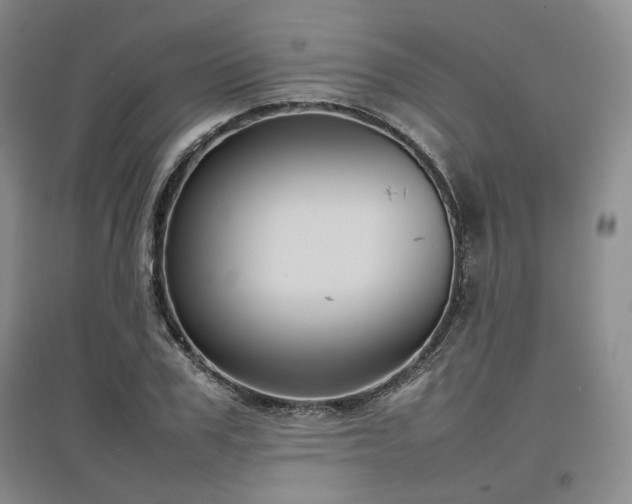 X0000097500979200802221441