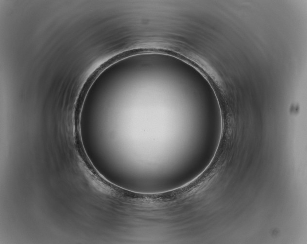 X0000097500980200802221441