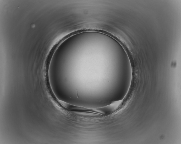 X0000097500981200802221440
