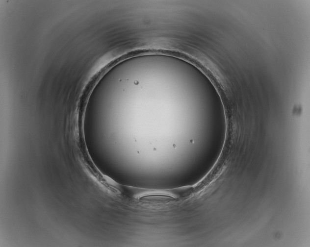 X0000097500982200802221440