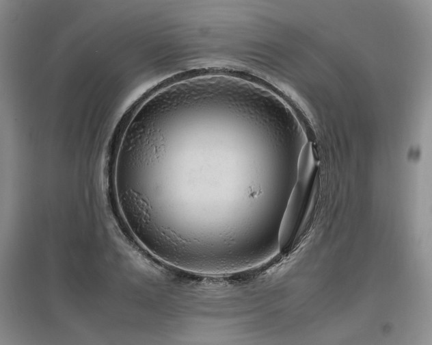 X0000097500983200802221440