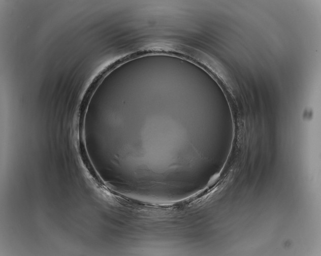 X0000097500984200802221440
