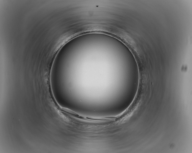 X0000097500985200802221440