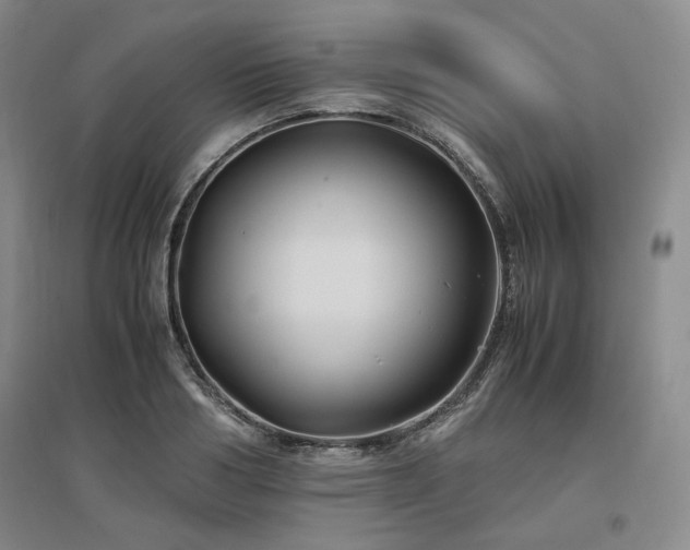 X0000097500986200802221440
