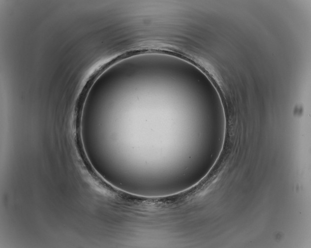 X0000097500987200802221440