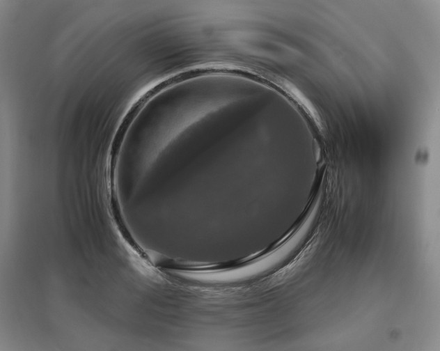 X0000097500988200802221440