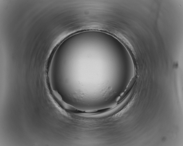 X0000097500989200802221440