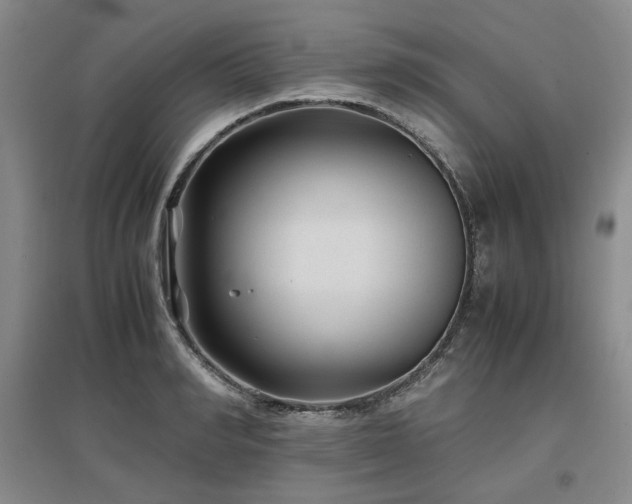X0000097500990200802221440