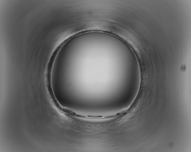 X0000097500991200802221440