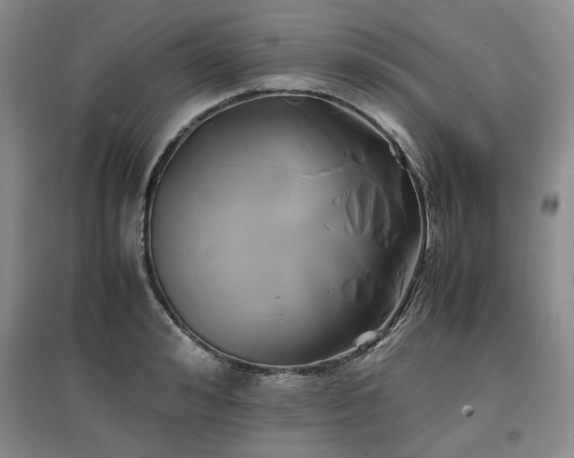 X0000097500992200802221440