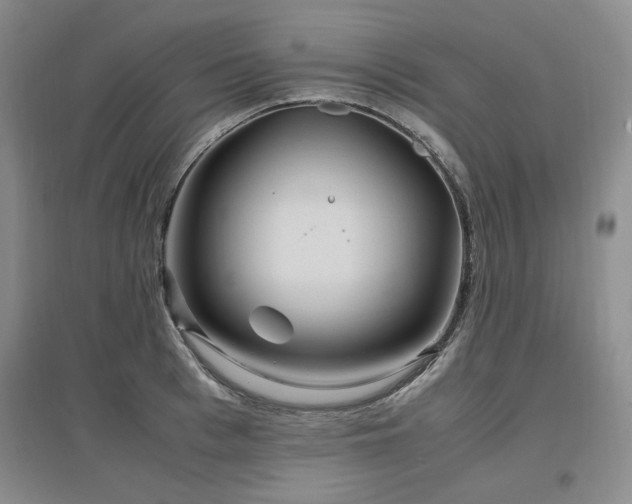 X0000097500993200802221440