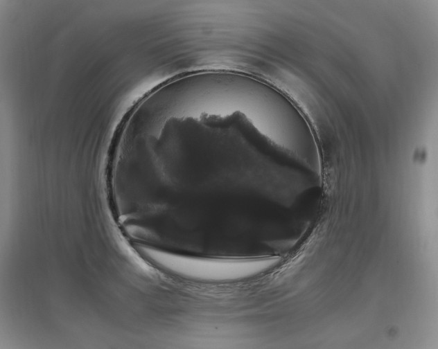 X0000097500995200802221440