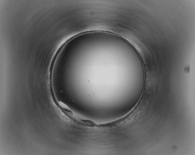 X0000097500996200802221440