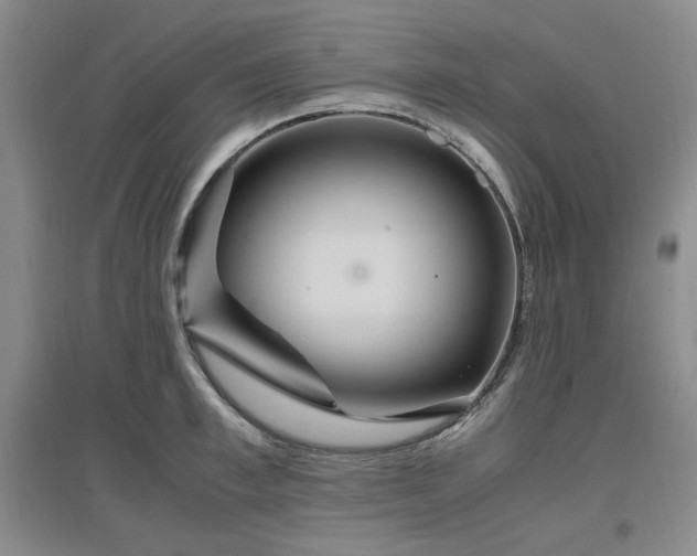 X0000097500997200802221440