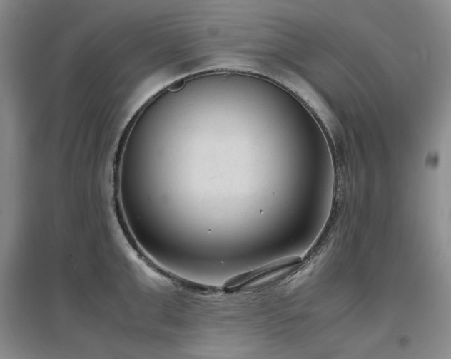 X0000097500999200802221440
