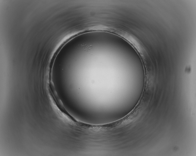 X0000097501000200802221440