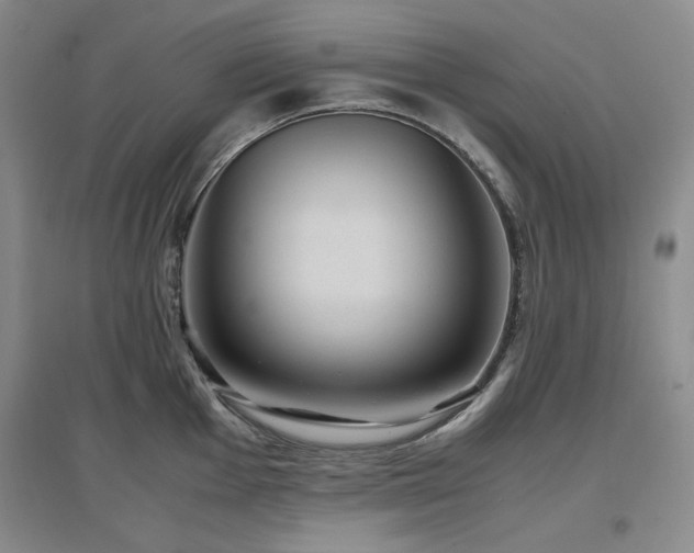 X0000097501001200802221440