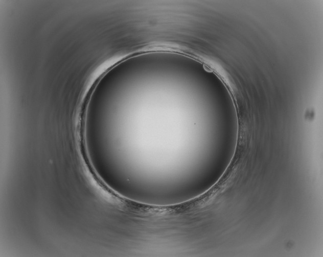 X0000097501003200802221440