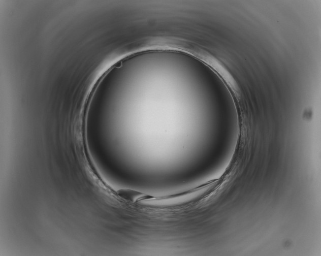 X0000097501004200802221440
