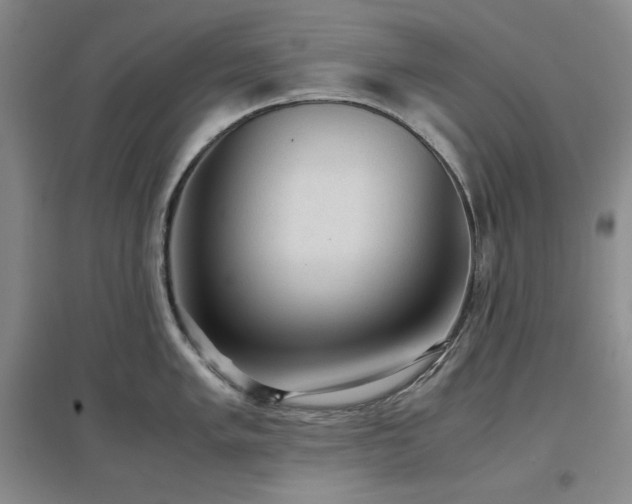 X0000097501005200802221440