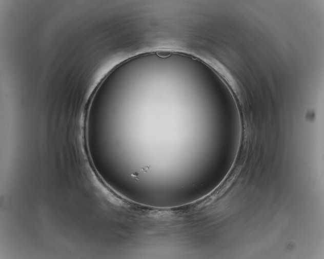 X0000097501006200802221440