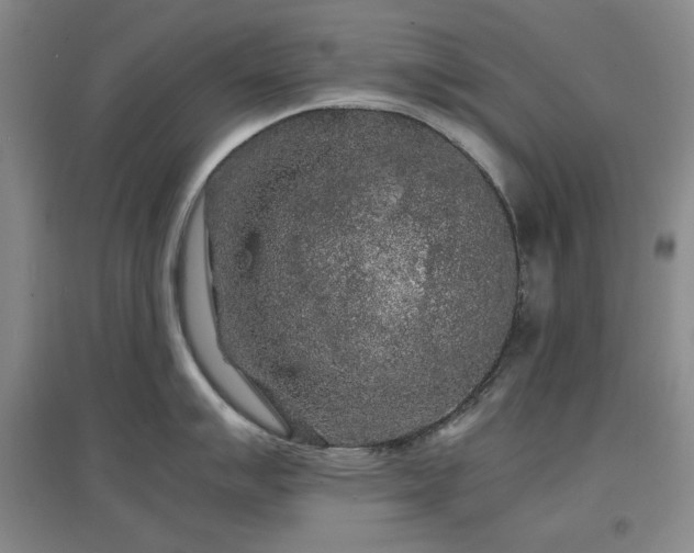 X0000097501007200802221440