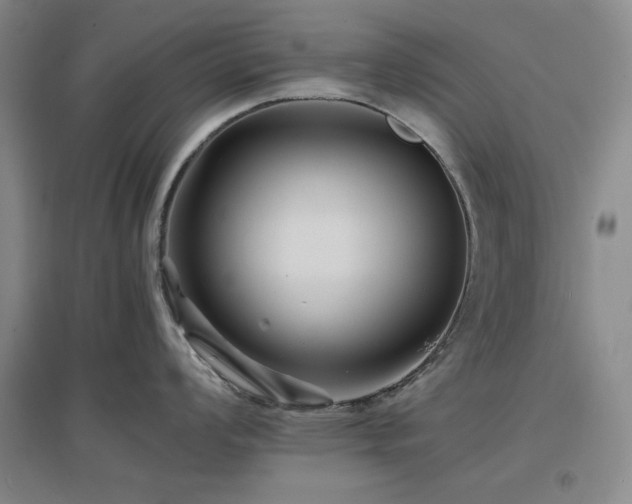 X0000097501008200802221440