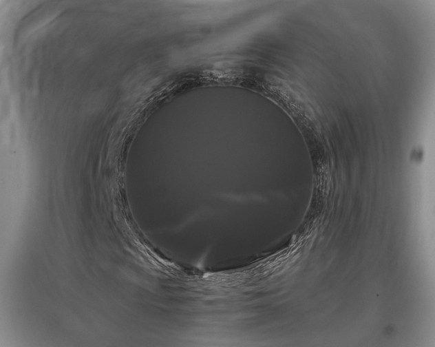X0000097501009200802221439