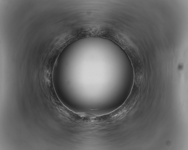 X0000097501010200802221439