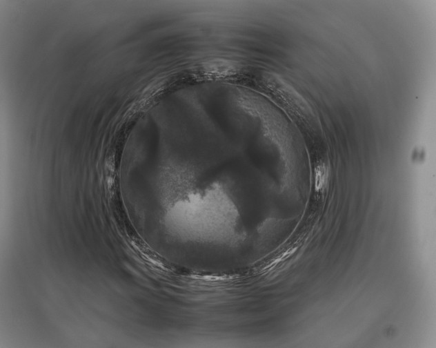 X0000097501011200802221439
