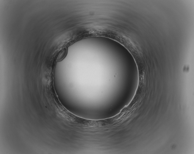 X0000097501012200802221439
