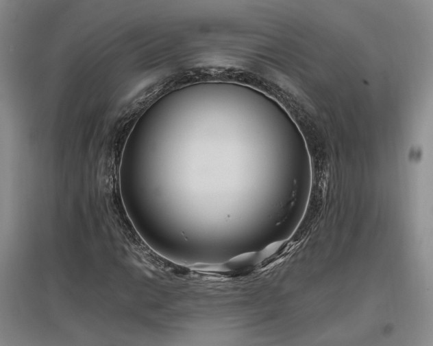 X0000097501014200802221439