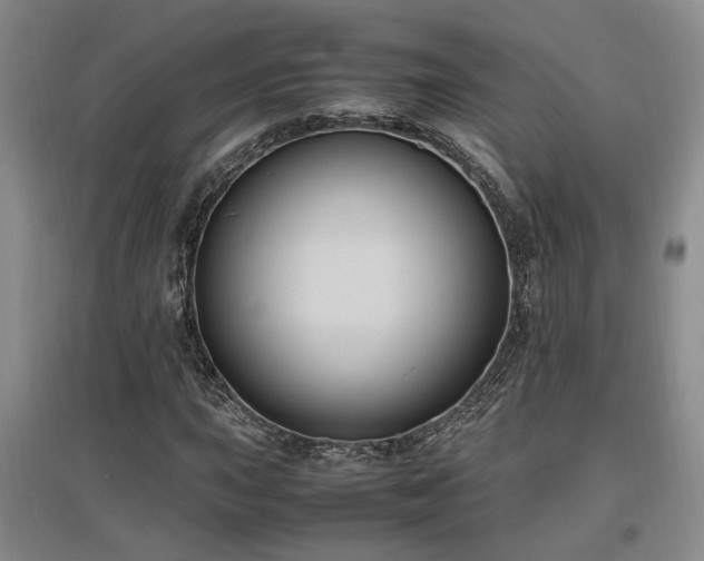 X0000097501015200802221439
