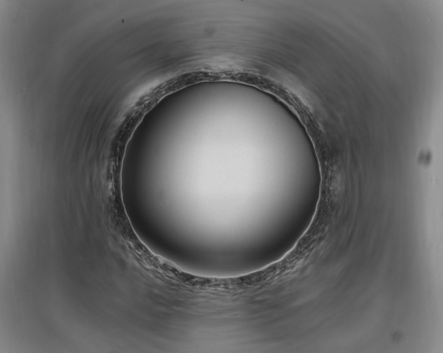 X0000097501016200802221439