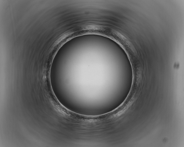 X0000097501017200802221439