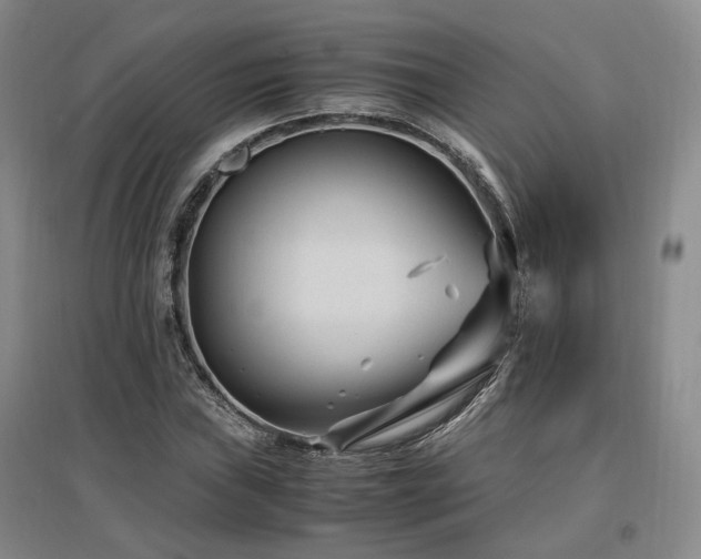 X0000097501019200802221439