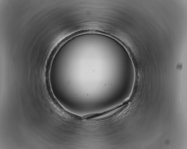 X0000097501020200802221439