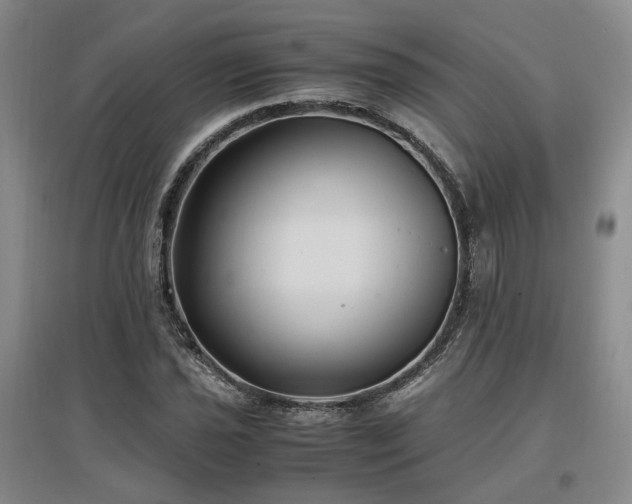 X0000097501021200802221439
