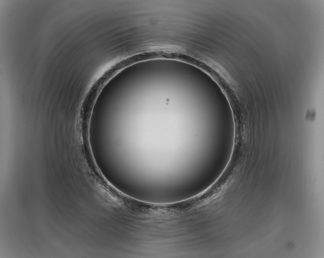 X0000097501022200802221439