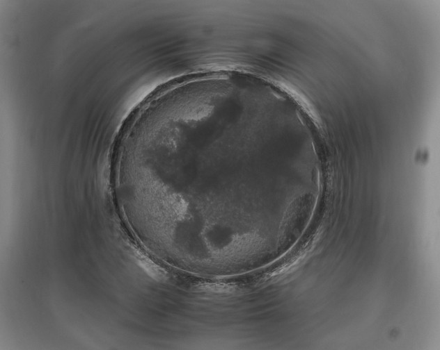 X0000097501023200802221439