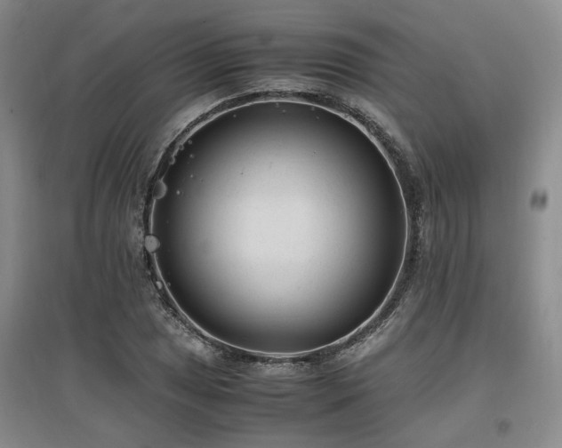 X0000097501025200802221440