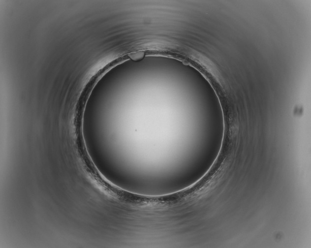 X0000097501026200802221440