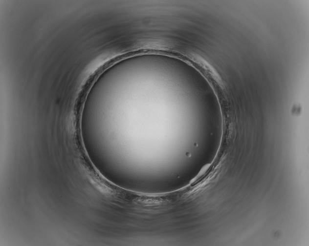 X0000097501027200802221440