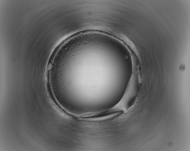 X0000097501028200802221440