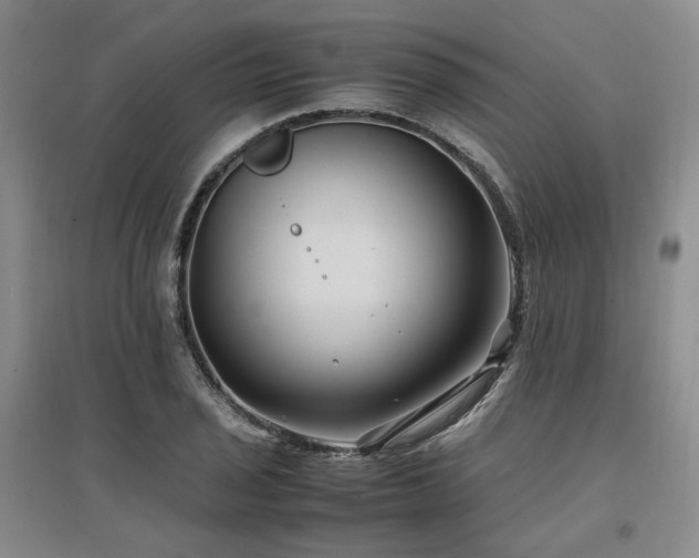 X0000097501029200802221440